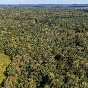 3FHJMrfYBk6CJp5CvKLZ@445d9cb75a