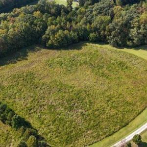 di4zZws8tt6oF4RRwIA1@0dde9cd0b1