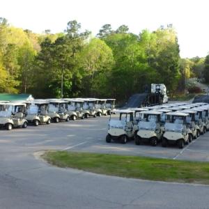 Parked Golf Carts