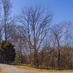 28-028-US64-SilerCity-Chatham-Parcel-917