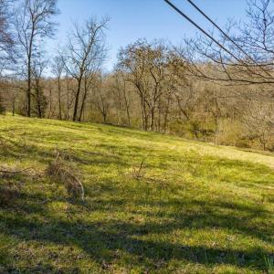 33-033-US64-SilerCity-Chatham-Parcel-917