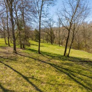 35-035-US64-SilerCity-Chatham-Parcel-917