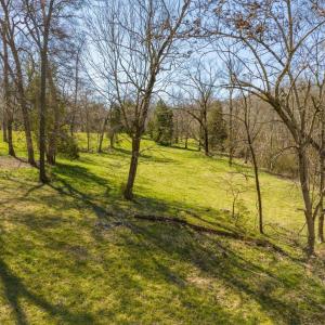 36-036-US64-SilerCity-Chatham-Parcel-917