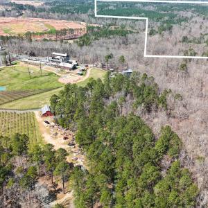 DJI_20231118004410_0455_D-Edit