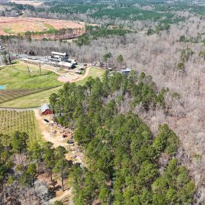 DJI_20231118004410_0455_D