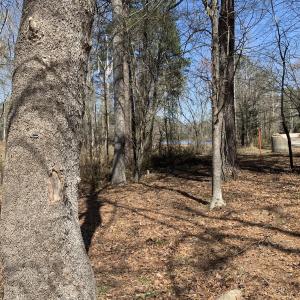 Watkins Pond Behind the slip