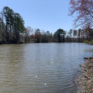 Watkins Pond Straight