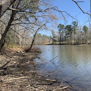 Watkins Pond soft sand