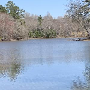 Watkins Pond Curve 1