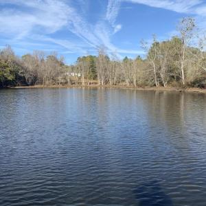 Watkins Pond 2