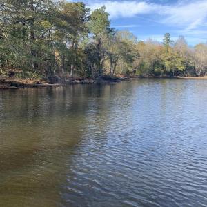 Watkins Pond 3