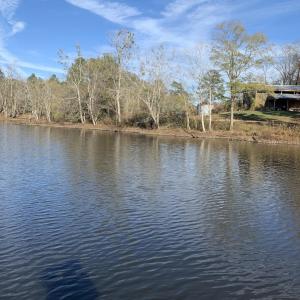 Watkins Pond 4