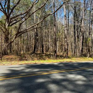 Brower Road 3