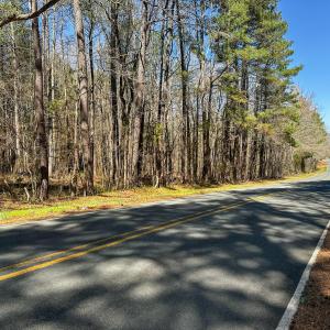 Brower Road 5