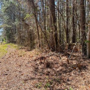 Brower Road 6