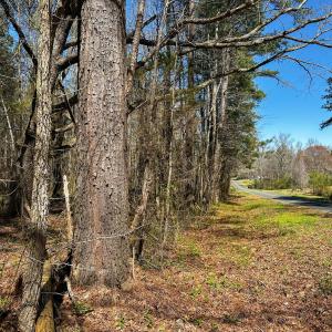 Brower Road 8