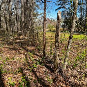 Brower Road 9