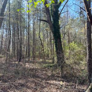 Brower Road 10