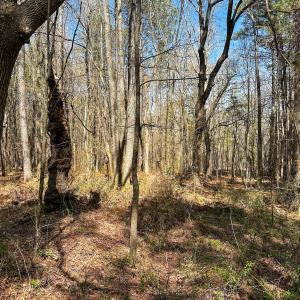 Brower Road 12