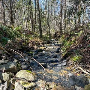 Brower Road 13