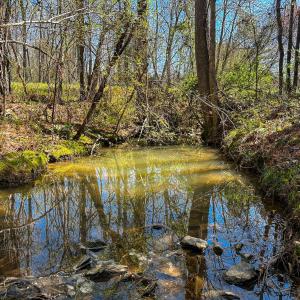 Brower Road 14