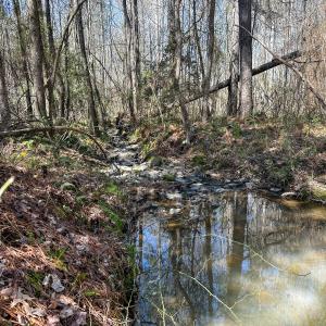 Brower Road 15