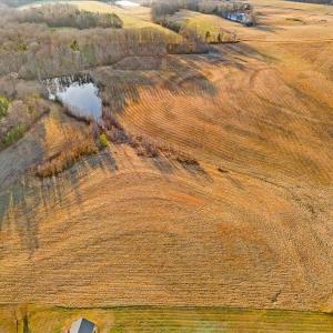 13-DJI_20250210170515_0066_D