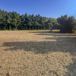 Caswell Co. NC 7.365-Skyview-Lot 5-06