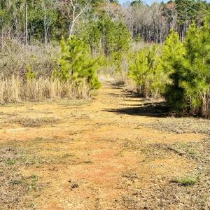 652 Richardson Rd picture 1