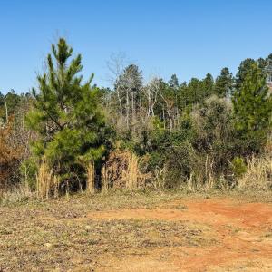 652 Richardson Rd picture 2