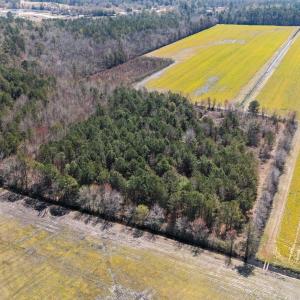 9-web-or-mls-DJI_20250323134901_0180_D