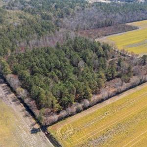 11-web-or-mls-DJI_20250323134925_0182_D