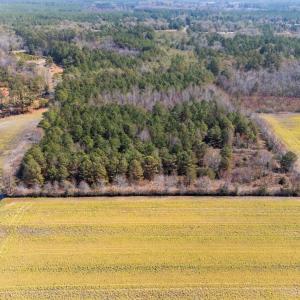 13-web-or-mls-DJI_20250323134953_0184_D