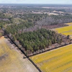 15-web-or-mls-DJI_20250323135031_0187_D