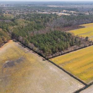 16-web-or-mls-DJI_20250323135039_0188_D