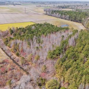 1-web-or-mls-DJI_20250323134515_0164_D