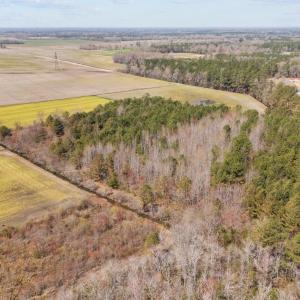 2-web-or-mls-DJI_20250323134523_0165_D