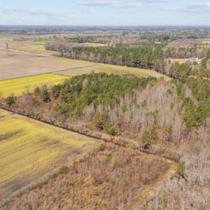 3-web-or-mls-DJI_20250323134532_0166_D