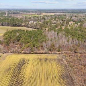 4-web-or-mls-DJI_20250323134553_0167_D