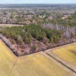 5-web-or-mls-DJI_20250323134619_0168_D