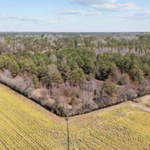 6-web-or-mls-DJI_20250323134631_0169_D