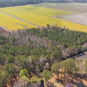 7-web-or-mls-DJI_20250323134826_0178_D