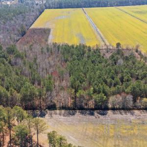 8-web-or-mls-DJI_20250323134845_0179_D