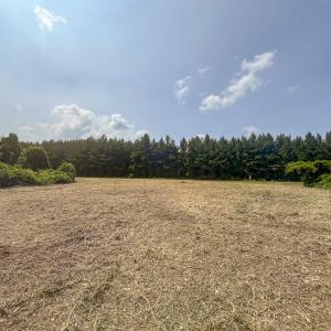 Caswell Co. NC 8.64-Skyview-Lot 6-15