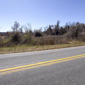 Caswell Co. NC 8.64-Skyview-Lot 6-19