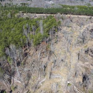 Caswell Co. NC 8.64-Skyview-Lot 6-25