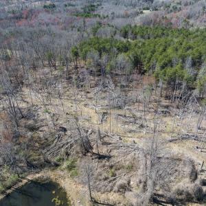 Caswell Co. NC 8.64-Skyview-Lot 6-35