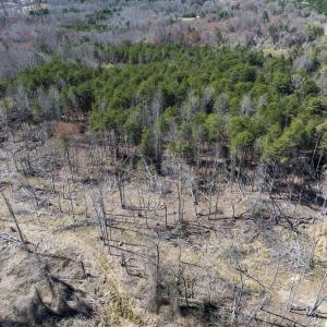 Caswell Co. NC 8.64-Skyview-Lot 6-37