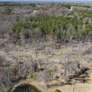 Caswell Co. NC 8.64-Skyview-Lot 6-40