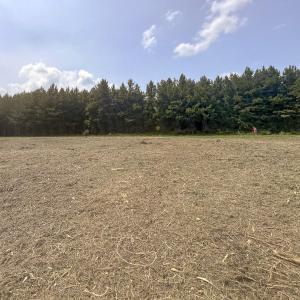Caswell Co. NC 8.64-Skyview-Lot 6-18
